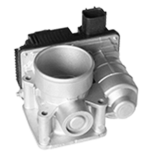 Throttle Bodies